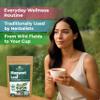 100 Bags Dried Mugwort Tea Mugwort Herb Dried Tea (Dried Artemisia Vulgaris Herb) - 100 Count 1.5g Bags Artemisa view 4