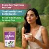 100 Bags Milk Thistle Tea Herb Dried Cardo Mariano Herbal (Silybum Marianum) - 100 Count 1.5g Tea Bags Dry Milk Thistle Herb Cardo De Leche view 4