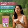 50 Bags Cistus Tea Cistus Incanus Tea Herbal (Cstus L.) - 50 Count 1.5g Herb Bags view 4