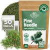 50 Bags Pine Needle Tea Dried Pine Needles Herb Tea (Pinus Koraiensis) - 50 Count 2.5g Bags Dried Needle Leaf Aguja De Pino view 1
