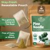 50 Bags Pine Needle Tea Dried Pine Needles Herb Tea (Pinus Koraiensis) - 50 Count 2.5g Bags Dried Needle Leaf Aguja De Pino view 4