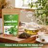 100 Bags Dried Lemon Balm Herb Frontier Loose Lemon Balm Tea (Melissa Officinalis Tea) - 100 Count 1.5 g Bags Melissa Herb Te De Toronjil view 4