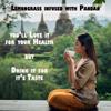 Thai Lemongrass and Pandan Tea - 50 Plastic Free Bags | Organic, Caffeine Free, Vegan Friendly | Perfect for Hot & Iced Tea, Zero Sugar view 3