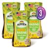 Sunview Jumbo Green Raisins 3-15 oz. Canisters view 4