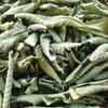 50 Premium Guava Leaf Tea Bags, 100% Natural and Pure. Loose Leaf Guava Herbal Tea, No Sugar, No Caffeine, No Gluten, Vegan. view 3