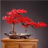 AaAgya Bonsai Tree,Realistic Faux Bonsai Tree, Indoor Simulation Welcoming Pine Bonsai Living Room Large Green Plants Potted Office Plants Desktop Artificial Flowers Decoration Ornaments view 1