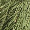 "Smoke Camp Crafts Lemongrass (Cymbopogon citratus) Dried Herb, 1 oz for Tea" view 4