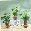 IMIKEYA 1pc Artificial Potted Green Desktop Decoration for Home Office Lifelike Simulated Plant for -Term Use No Watering Needed for Indoor Decor view 2