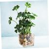 IMIKEYA 1pc Artificial Potted Green Desktop Decoration for Home Office Lifelike Simulated Plant for -Term Use No Watering Needed for Indoor Decor view 3