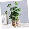 IMIKEYA 1pc Artificial Potted Green Desktop Decoration for Home Office Lifelike Simulated Plant for -Term Use No Watering Needed for Indoor Decor view 4