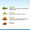 CharkS Pharma Hyponids Tablet for Hormonal Balance in PCOS, Herbal Management of Madhu Level - 30 Tablets X 3 view 2
