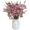 15 Pink Wax flower Fresh Cut Flowers Good flowering period Long flowering period Next day delivery Fresh Delivery Birthday Gift view 2