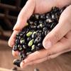 Crispy black beans in 250g * 2 cans, light salt dry fried black bean snacks, nuts, specialty stir fried goods view 1