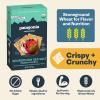 Patagonia Provisions Organic Sourdough Sea Salt Crackers (6 Pack) 3g Plant Protein Per Serving Made with Wheat Flour & Sea Salt Non-GMO, No Added Sugar - Crispy & Crunchy view 2