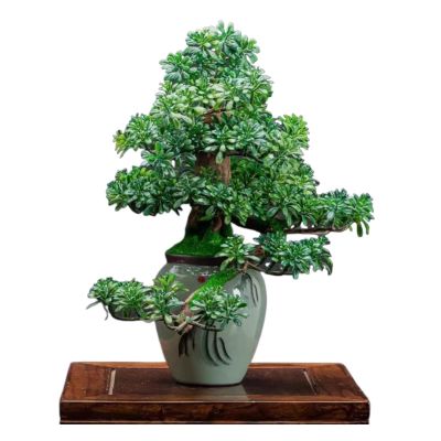 Fake Bonsai Tree Artificial Welcome Pine Bonsai Simulation Bonsai Decorations Living Room Decorations Porch Cabinet Office Artificial Bonsai Tree (Color : B)