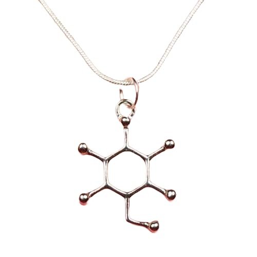 Glucose Molecule Necklace Diabetic Reminder Charm Pendant Biology 18"(46cm) chain charm Fast Free Supply