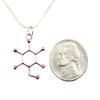 Glucose Molecule Necklace Diabetic Reminder Charm Pendant Biology 18"(46cm) chain charm Fast Free Supply view 2