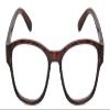 Calabria IM 31276 Reading Glasses +2.75 Crystal Tortoise Havana Brown Women Designer Trendy Reader Fashion Modern Eyeglasses view 2