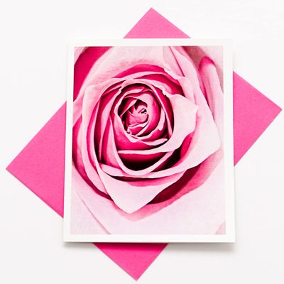 Sunshine Expressions Blooming Roses High-End Photographic Heavy Smooth Note Cards 24 w/26 Colored Envelopes, Boxed Set (4.25"x 5.50") Blank Inside - Made in USA
