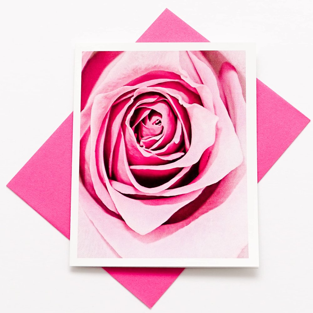 Sunshine Expressions Blooming Roses High-End Photographic Heavy Smooth Note Cards 24 w/26 Colored Envelopes, Boxed Set (4.25"x 5.50") Blank Inside - Made in USA