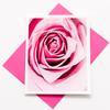 Sunshine Expressions Blooming Roses High-End Photographic Heavy Smooth Note Cards 24 w/26 Colored Envelopes, Boxed Set (4.25"x 5.50") Blank Inside - Made in USA view 1