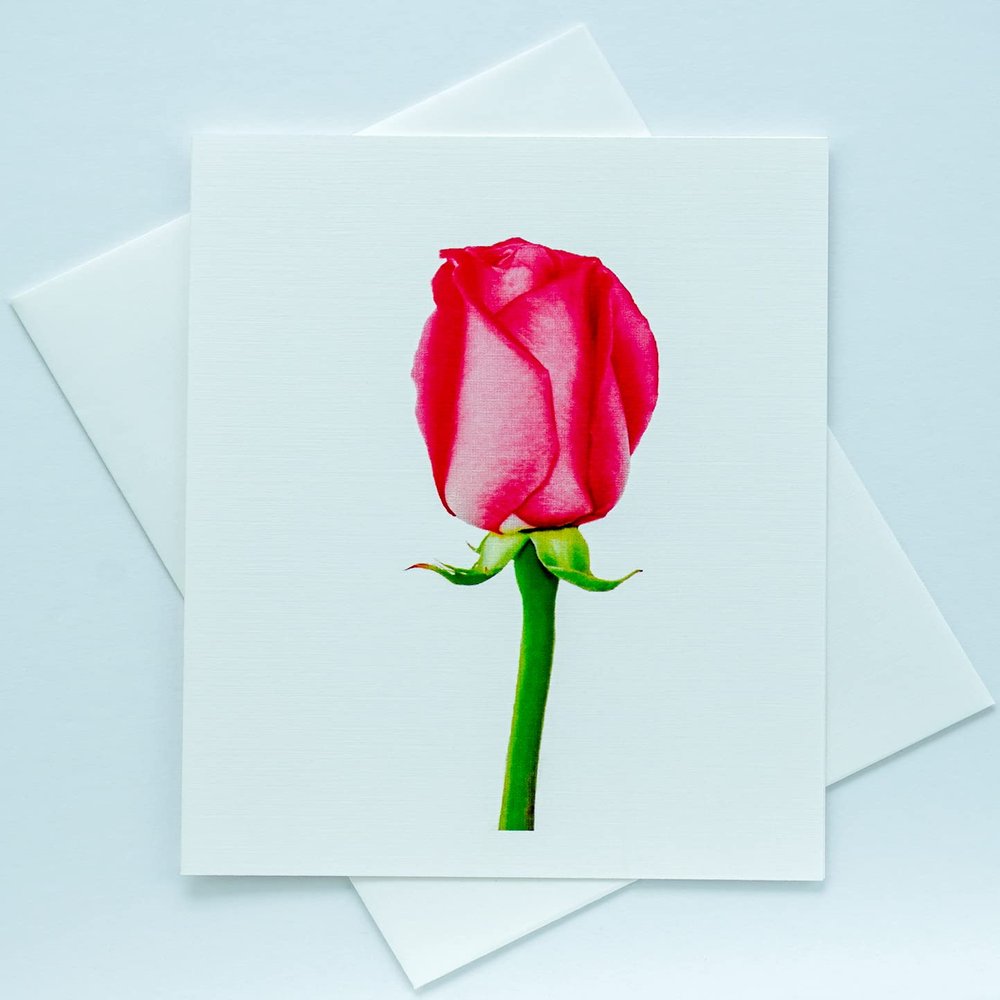 Sunshine Expressions Blooming Roses Photographic Heavy Linen Note Cards 24 w/26 Matching Envelopes, Boxed Set (4.25"x 5.50") Blank Inside - Made in USA