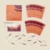 bird&be Ovulation Test Strips (LH) | 10 High-Accuracy Predictor Kits | Track Fertile Window & LH Surge | Eco-Friendly Low-Waste Design | Easy Dip & Read Results | TTC Fertility Monitor view 2