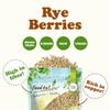 Food to Live Rye Berries, 20 Pounds  Whole Grain Powerhouse for Bread, Sourdough, Porridge, and Granola. Rich in Fiber and Nutrients. Raw, Unprocessed, Vegan, Kosher, Seeds in Bulk view 4