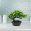 HOLIDYOYO Realistic Simulated Bonsai Pine Plastic Decorative Tree Fake Bonsai Plant Tree Decoration for Room Easy Care Indoor Plant view 2