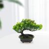 HOLIDYOYO Realistic Simulated Bonsai Pine Plastic Decorative Tree Fake Bonsai Plant Tree Decoration for Room Easy Care Indoor Plant view 3