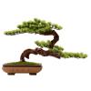 Artificial Bonsai Tree Artificial Plants Bonsai Tree Indoor Wood Welcoming Pine Bonsai Zen Decorative Bonsai with Ceramic Pots Living Room Corridor Desktop Decor Office Decoration Bonsai view 1
