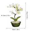 Artificial Bonsai Tree Jade Orchid Living Room Home Decoration Entrance Crafts Creative New Chinese Style Bonsai Ornament Decoration Office Decoration Bonsai view 2