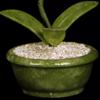 Artificial Bonsai Tree Jade Orchid Living Room Home Decoration Entrance Crafts Creative New Chinese Style Bonsai Ornament Decoration Office Decoration Bonsai view 4