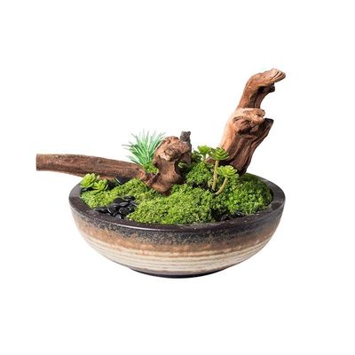 Artificial Bonsai Tree Simulazione Cinese Piante Verdi Di Muschio Decorazioni in Vaso Per Interni Soggiorno Studio Decorazioni Per Ufficio Office Decoration Bonsai