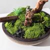 Artificial Bonsai Tree Simulazione Cinese Piante Verdi Di Muschio Decorazioni in Vaso Per Interni Soggiorno Studio Decorazioni Per Ufficio Office Decoration Bonsai view 3