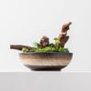 Artificial Bonsai Tree Simulazione Cinese Piante Verdi Di Muschio Decorazioni in Vaso Per Interni Soggiorno Studio Decorazioni Per Ufficio Office Decoration Bonsai view 4