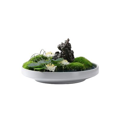 Artificial Bonsai Tree Simulation Bonsai Moss Simulation Flower Small Landscape Landscape Microscopic Tea Room Tea Table Desktop Decoration Office Decoration Bonsai
