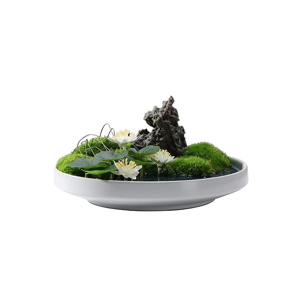 Artificial Bonsai Tree Simulation Bonsai Moss Simulation Flower Small Landscape Landscape Microscopic Tea Room Tea Table Desktop Decoration Office Decoration Bonsai