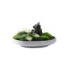 Artificial Bonsai Tree Simulation Bonsai Moss Simulation Flower Small Landscape Landscape Microscopic Tea Room Tea Table Desktop Decoration Office Decoration Bonsai view 1