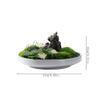 Artificial Bonsai Tree Simulation Bonsai Moss Simulation Flower Small Landscape Landscape Microscopic Tea Room Tea Table Desktop Decoration Office Decoration Bonsai view 2
