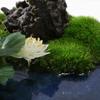Artificial Bonsai Tree Simulation Bonsai Moss Simulation Flower Small Landscape Landscape Microscopic Tea Room Tea Table Desktop Decoration Office Decoration Bonsai view 3