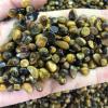 AMHIL Natural Crystal Rough Natural Carved Tiger Eye Chip Crystal Healing Stones view 2