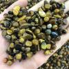 AMHIL Natural Crystal Rough Natural Carved Tiger Eye Chip Crystal Healing Stones view 3