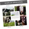 2pcs Cow Pregnancy Test Paper High Precision Cattle Detection Strips for Early Pregnancy Diagnosis Accurate Results Vacuum-Packed for Safety and Health view 2