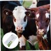 2pcs Cow Pregnancy Test Paper High Precision Cattle Detection Strips for Early Pregnancy Diagnosis Accurate Results Vacuum-Packed for Safety and Health view 4