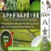 1kg [Superior Ceremonial Grade Rare Luxury Yame Gyokuro Matcha Green Tea Powder] Japanese Souvenir, Gift, Present, Yamecha Meditation Yoga Zen Luxury Highend - Mukoh Matcha view 2