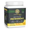 Sunwarrior Pre Workout Powder Energy Drink | Vegan, Plant-Based, Pre-Workout Supplement | Pump, Hydrate, Focus, Endurance, & Strength Builder | Yuzu Mango Flavored | 30 Servings | Active Preworkout view 1