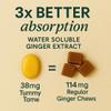 Stomach Bloom Sugar Free Tummy Tame Drops - 3X Better Absorption | Fast-Acting Pregnancy Nausea Relief & Morning Sickness Relief | Ginger, Lemon, Spearmint & B6. Individually Sealed Drops, 28 Ct view 4
