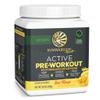 Sunwarrior Pre Workout Powder Energy Drink Non-Stim & Caffeine Free | Vegan Plant-Based Supplement | Pump Hydrate Focus Endurance & Strength Builder | Yuzu Mango Flavored 30 Serving Active Preworkout view 1