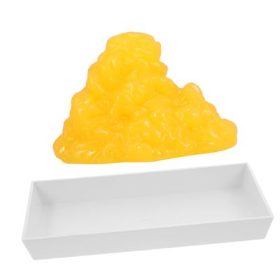 PartyKindom Teaching Replica with Base 1-Pound Human Fat Model for Exercise Fitness Education